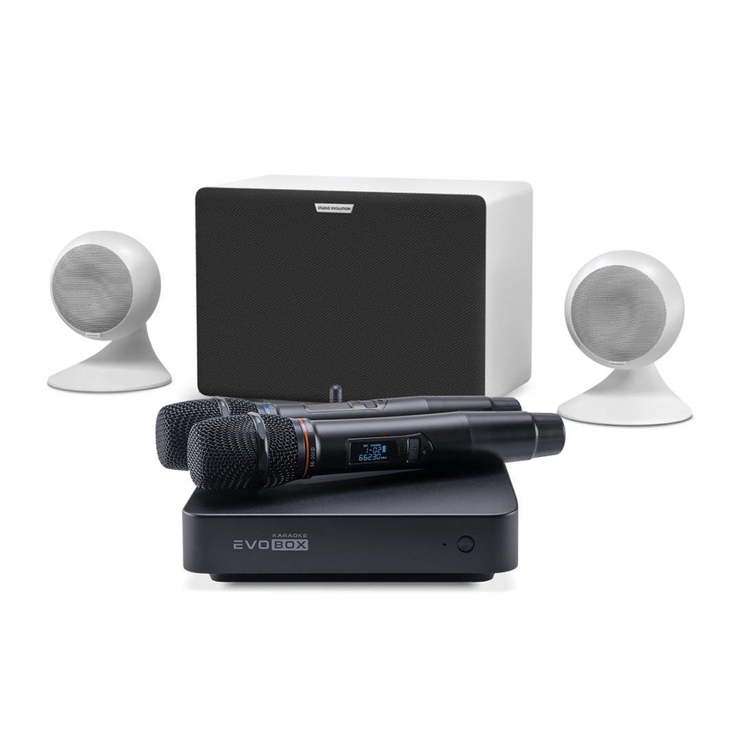 караоке-комплект EVOBOX Classic + EvoSound Sphere 2.1 в Хабаровском крае
